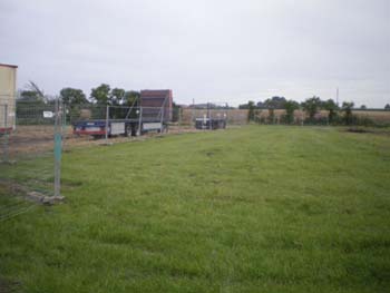 IMGP1946